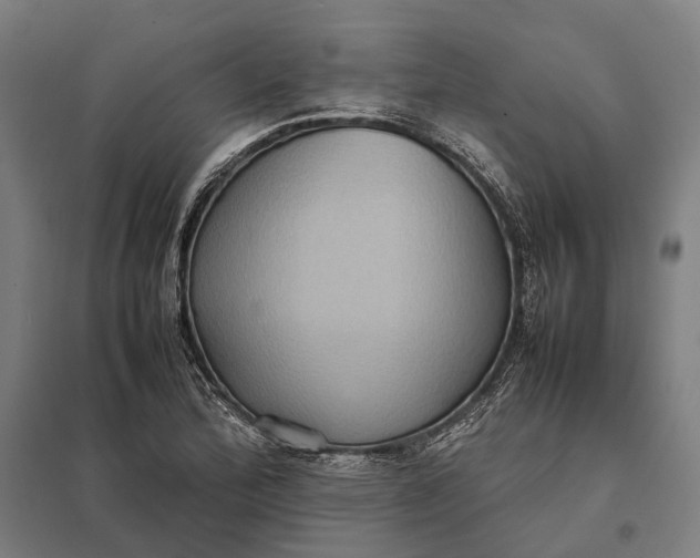 X0000097921172200803281419