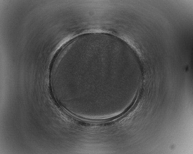 X0000097921173200803281419