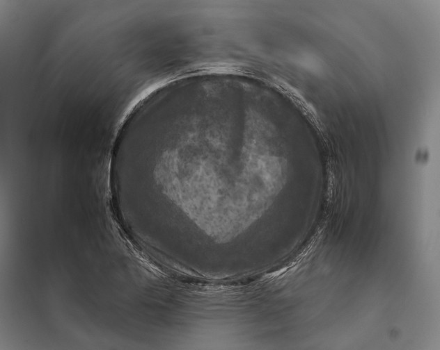 X0000097921174200803281419