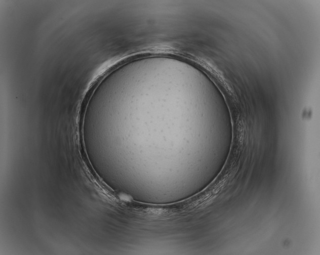 X0000097921176200803281419