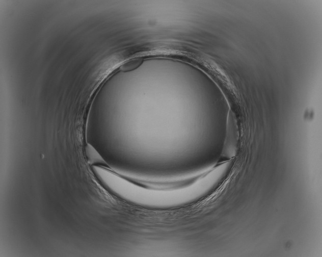 X0000097921177200803281419