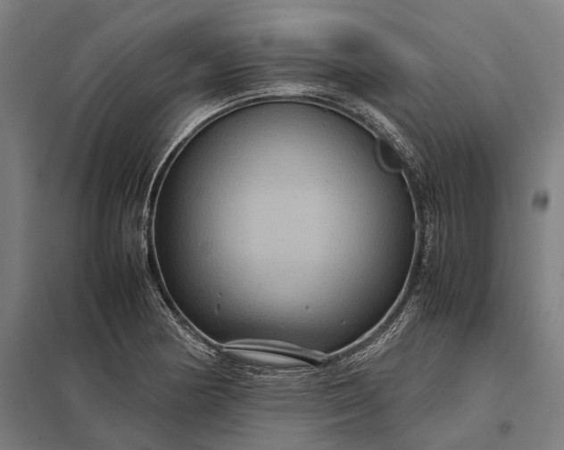 X0000097921178200803281419