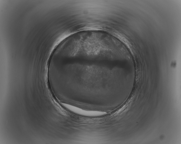 X0000097921179200803281419