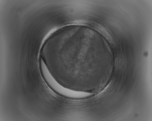 X0000097921180200803281419