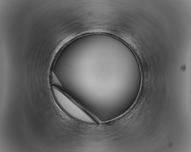 X0000097921181200803281419