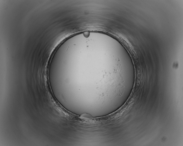 X0000097921182200803281419