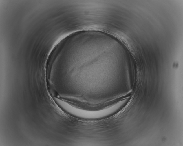 X0000097921184200803281419