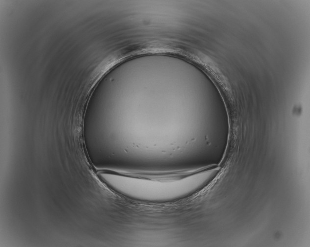 X0000097921185200803281419