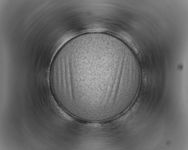 X0000097921186200803281419