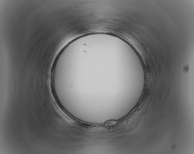 X0000097921187200803281419