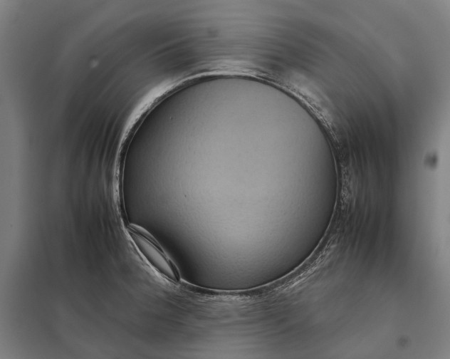 X0000097921188200803281419