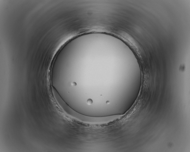 X0000097921190200803281419