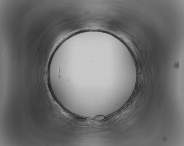 X0000097921191200803281419