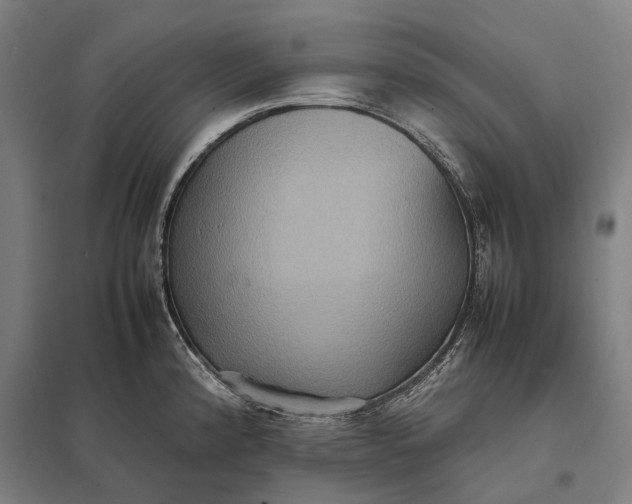 X0000097921192200803281419