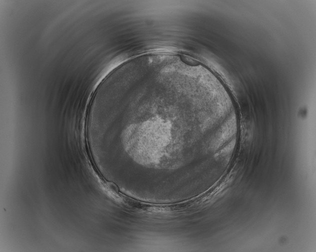 X0000097921194200803281419