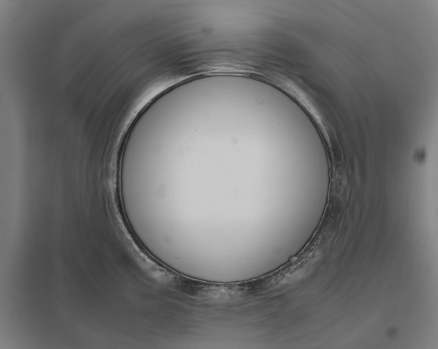 X0000097921195200803281419