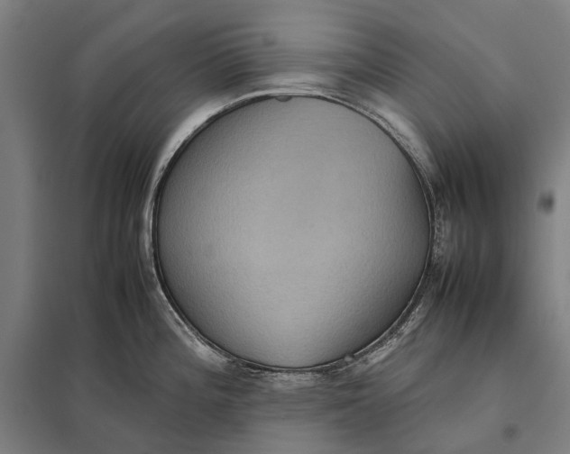 X0000097921196200803281419