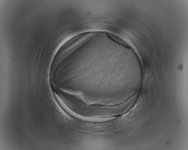 X0000097921197200803281419