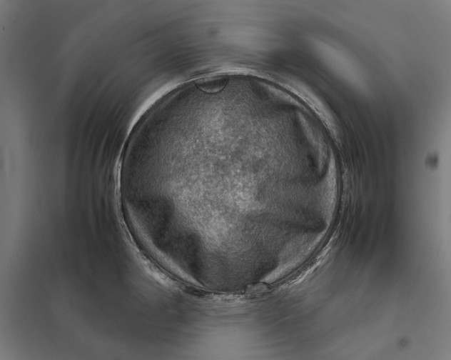 X0000097921198200803281419