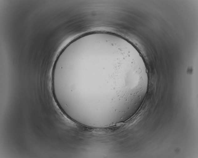 X0000097921199200803281419