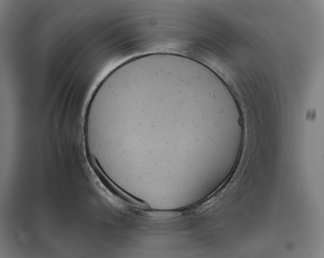 X0000097921200200803281419