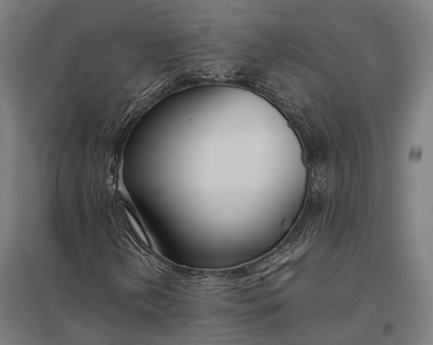 X0000097921202200803281418