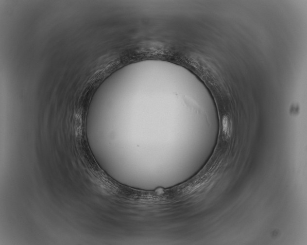 X0000097921203200803281418