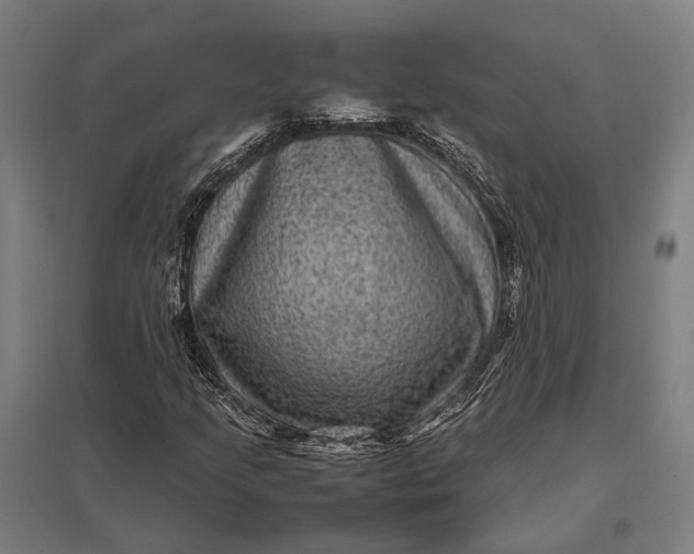 X0000097921205200803281418