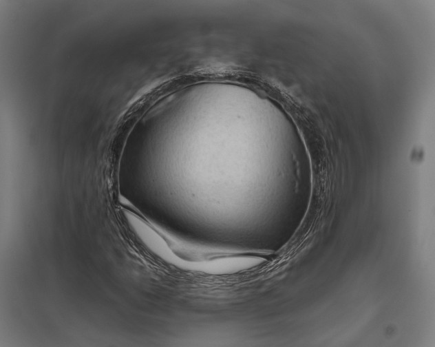 X0000097921206200803281418