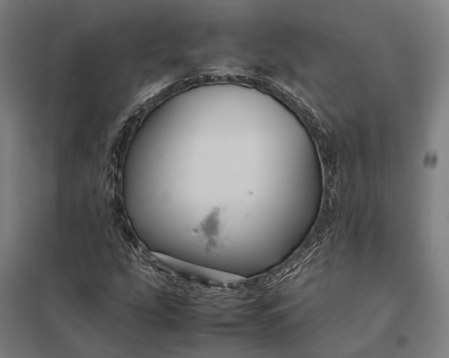 X0000097921207200803281418