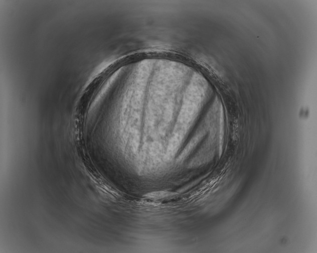 X0000097921208200803281418