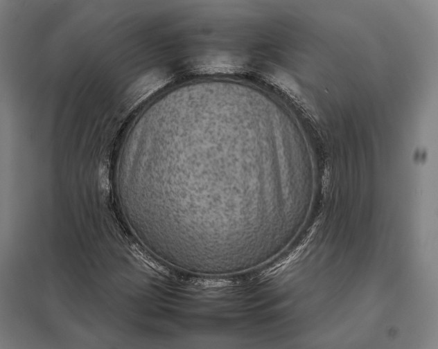 X0000097921209200803281418