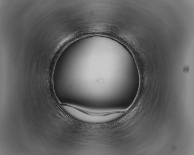 X0000097921210200803281418