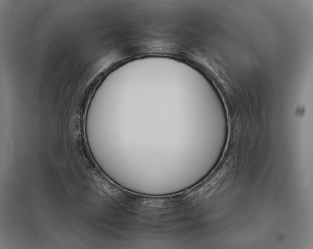 X0000097921211200803281418