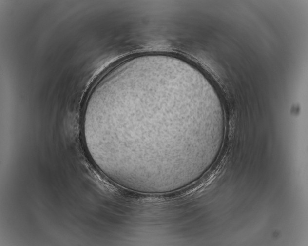 X0000097921212200803281418