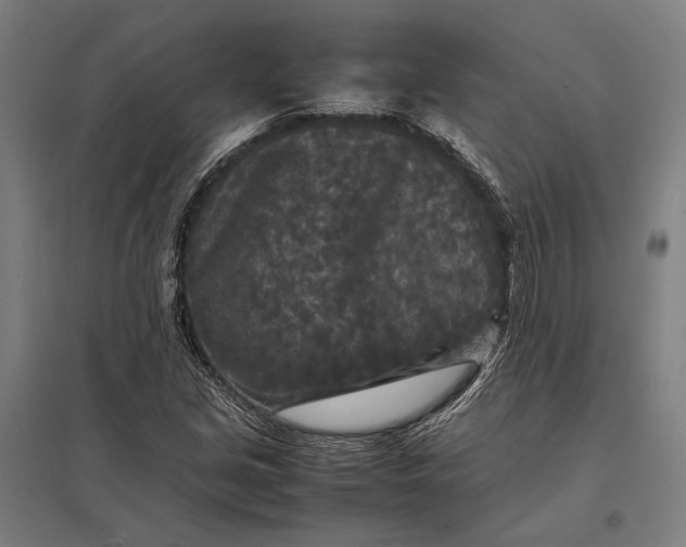 X0000097921213200803281418