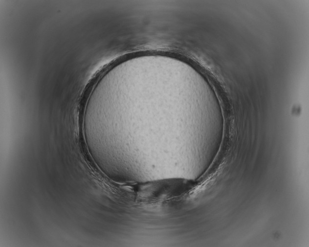 X0000097921214200803281418