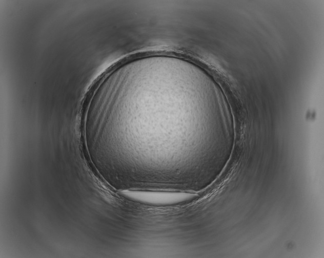 X0000097921216200803281418