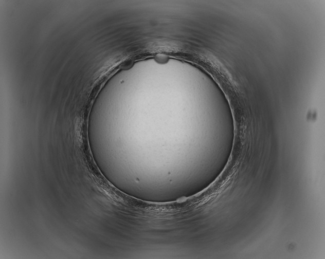 X0000097921217200803281418