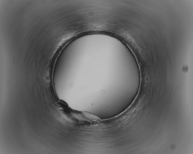 X0000097921218200803281418