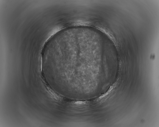 X0000097921219200803281418