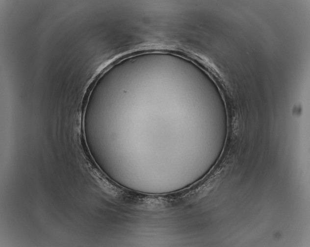 X0000097921220200803281418