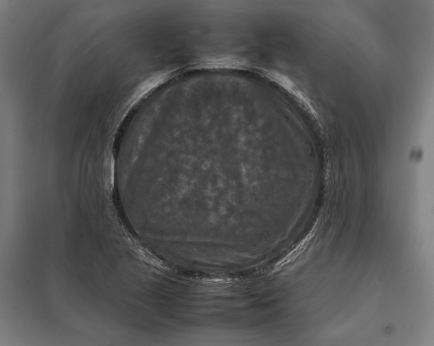 X0000097921221200803281418