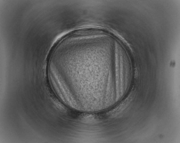 X0000097921222200803281418