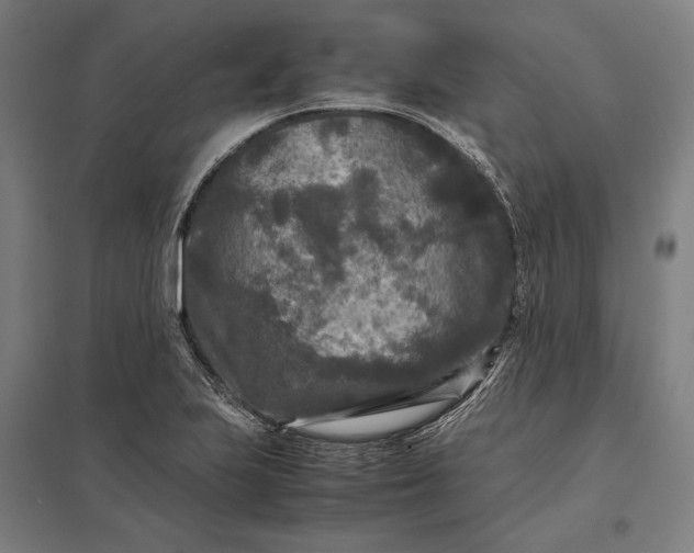 X0000097921223200803281418