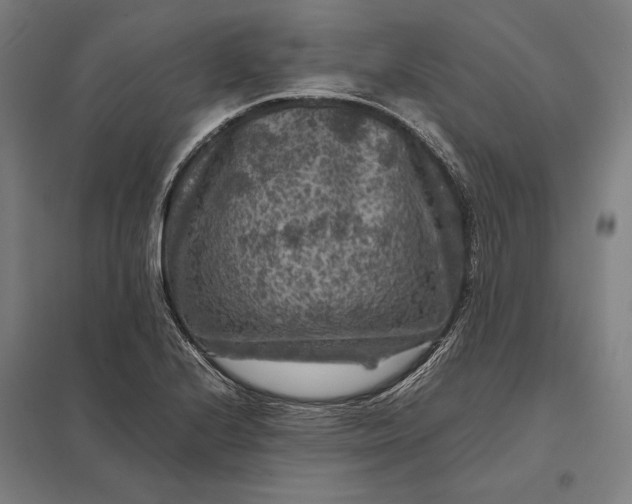 X0000097921224200803281419