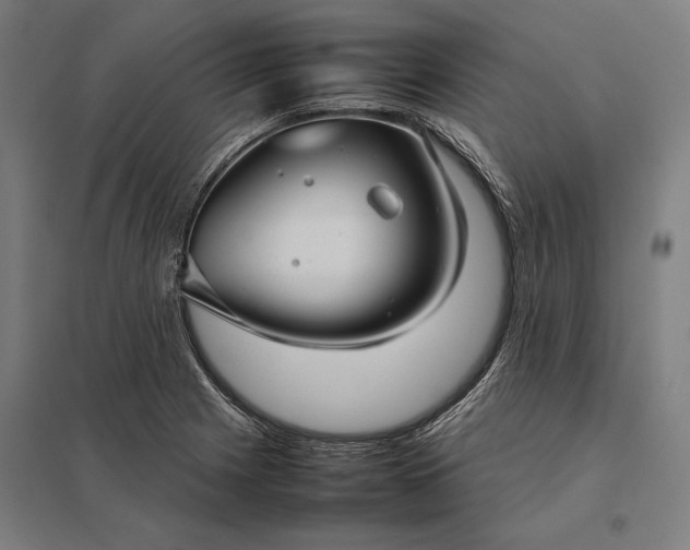 X0000097921225200803281419