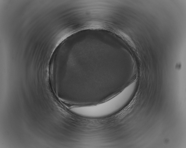 X0000097921226200803281419