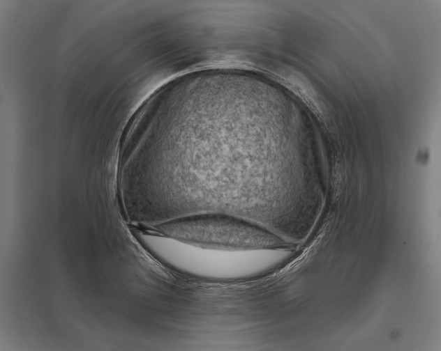 X0000097921228200803281419