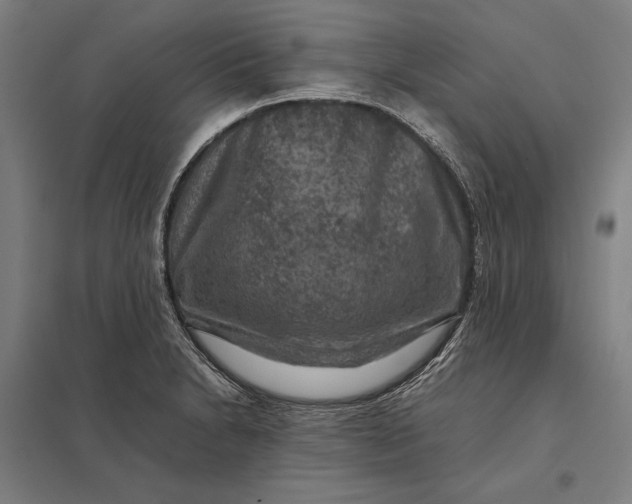 X0000097921230200803281419